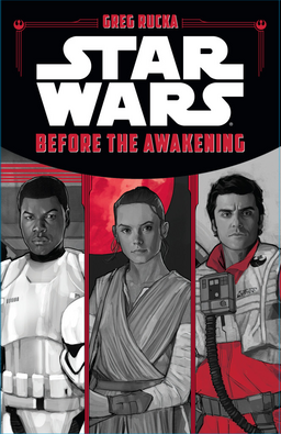 Before The Awakening Book image