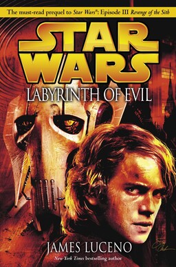 Labyrinth Of Evil Book image