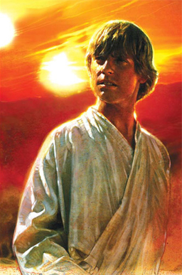 Star Wars A New Hope: The Life Of Luke Skywalker Book image